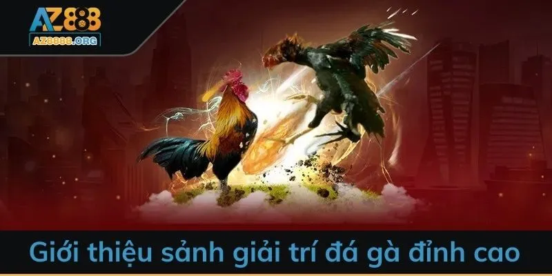 Giới thiệu sảnh giải trí đá gà AZ888 đỉnh cao