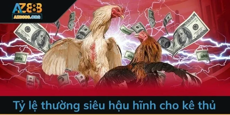 Tỷ lệ thường siêu hậu hĩnh cho kê thủ